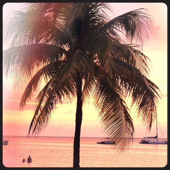 Meet your Posher, Elysia - Picture 1 of 1